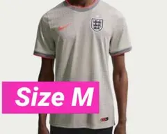 ナイキ イングランド×パレス アカデミー プロ半袖サッカートップ