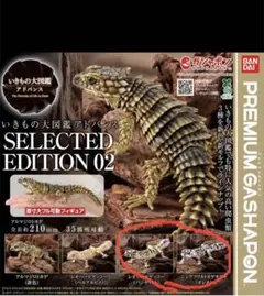 いきもの大図鑑アドバンス SELECTED EDITION 02 2種セット
