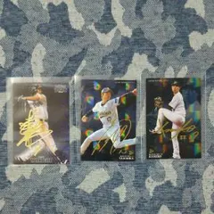 プロ野球チップスカード いろいろ