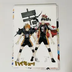 ハイキュー‼︎展 FINAL ビッグアートボード 日向 影山 日向と影山 フルカラーBIGアートボード ハイキュー!!展 FINAL 原画展