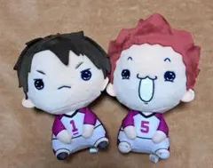 ハイキュー!!　もちぴこぬいぐるみセット　③