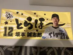 阪神タイガース　とらほー タオル　坂本誠志郎 選手