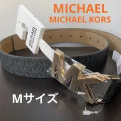 Item thumbnail for item 0f06a010-52b7-473c-a372-801fa5ed16ef