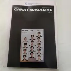 非売品seventeen 会報誌Vol.13グリーティングカード付き