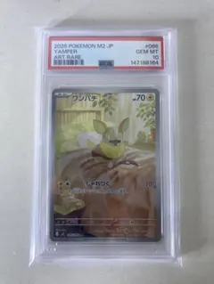 2026年最新】psa10 わんぱちの人気アイテム - メルカリ