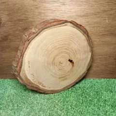 Item thumbnail for item 8ae36850-5302-4cc6-8765-a2aa6a294614