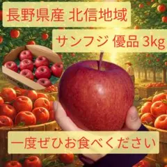 リピート多数！長野産サンふじりんご3kg 冬の味覚！サンふじりんご