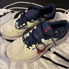 NIKE フィンフロー　27.5cm ホワイト/ネイビー/レッド