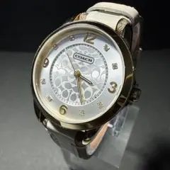 Item thumbnail for item c0e31f34-f52d-4ac8-ab60-4c87b4eeb221