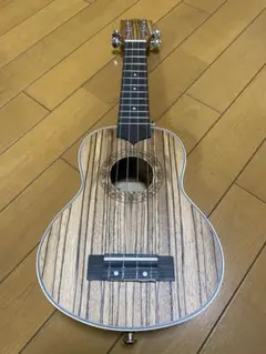 Item thumbnail for item 24f096aa-86db-4cd8-90a5-f4fd779fd518