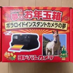 2026年最新】ヨドバシ お年玉箱の人気アイテム - メルカリ