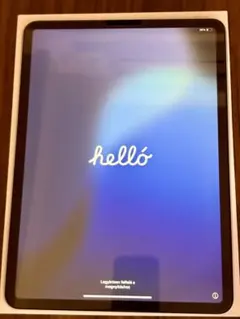 【美品 】 iPad Pro 11インチ 第2世代 Wi-Fi 256GB