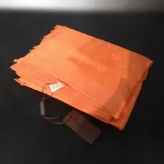 Item thumbnail for item 0a9c5249-08cc-4510-9695-6269fed9b30c