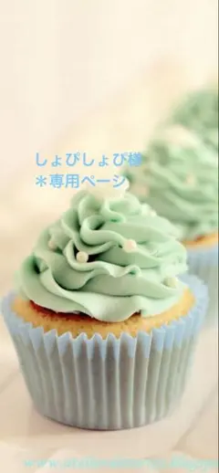 しょぴしょぴ様＊専用ページ