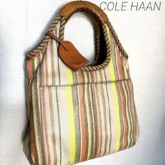 COLE HAAN マルチカラー ストライプ デザイン ハンドバッグ