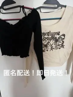 SHEIN 長袖 蝶 クロップド丈 ドロスト オフィショル 2点セット