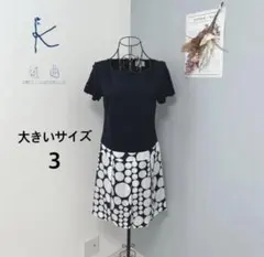 組曲 大きいサイズ3 ドット柄 半袖ワンピース ワンピース