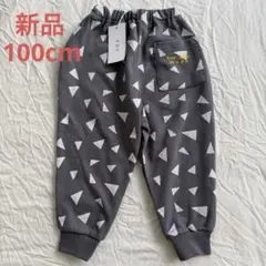 Item thumbnail for item 91a40e39-3b11-4996-8b24-7d4464d8170b