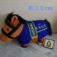 Item thumbnail for item 80b09fc6-6a0a-4470-b8fb-44816ee19cd6