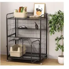 Item thumbnail for item eb519ae3-39dd-4201-9f58-94150d9a558f