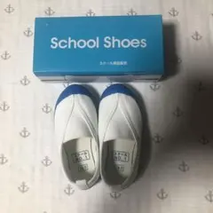 【匿名発送・未使用】上履き　体育館シューズ　16センチ