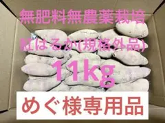 無肥料無農薬サツマイモB品11kg