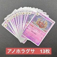 M2-041-080-U アノホラグサ　13枚のサムネイル