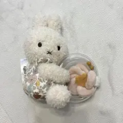 Item thumbnail for item a438290a-6021-4f58-8e06-45c6a537ff99