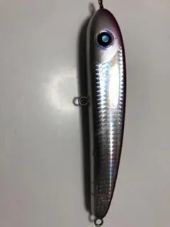 2026年最新】ローカルスタンダード パドルベイトの人気アイテム - メルカリ