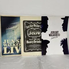 Item thumbnail for item b01d81e9-78b5-4403-b30c-30a5bc69a3bc