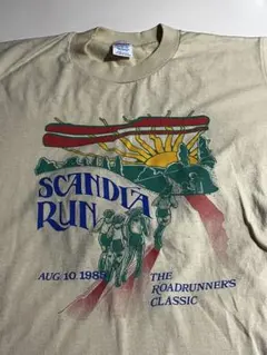 1985年製NIKEナイキSCANDIA RUNスカンディアラン/風車ゴツナイキ