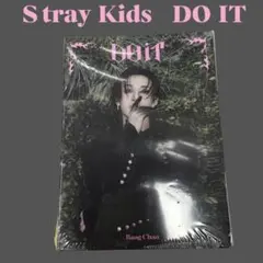 スキズ　DOIT ACCORDION ver. バンチャン　未開封　K467