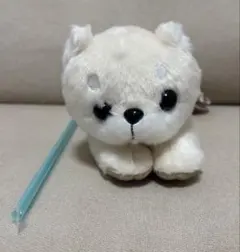 ぬいぐるみ 柴犬 クリーム