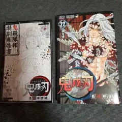 鬼滅の刃 22 巻 鬼殺隊報特別報告書