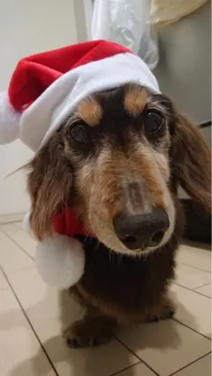 Item thumbnail for item 54ab8b55-9767-4c9d-bda4-bcb84db00001