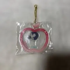 Mrs. GREEN APPLE E賞 シャカシャカアクリルチャーム 大森元貴