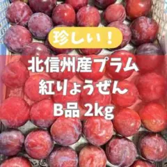 希少品種！北信州産 紅りょうぜんプラム B品 2kg 家庭用 訳ありのサムネイル
