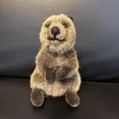 ケーセン ぬいぐるみ Kosen カンガルー親子 - メルカリ