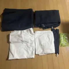 Item thumbnail for item be3fd85b-cbdf-4165-8215-18bf95937fd9