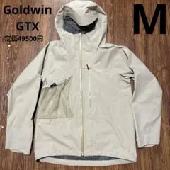 Goldwin the north face マウンテンパーカー　ゴアテックス