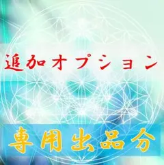 【S様専用】差額決済用ページ