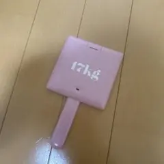 2026年最新】17㎏ハンドミラーの人気アイテム - メルカリ