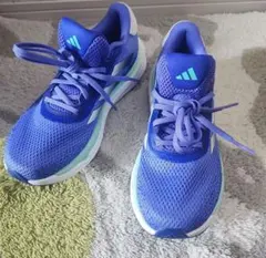 Item thumbnail for item 35f42594-565b-4ab5-88c7-9114009c35dd