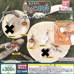 なめこ栽培キット めじるしアクセサリー2 4種セット