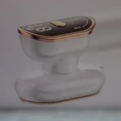 Item thumbnail for item 56bf70b8-53f6-4956-9eab-d041716cf4d1