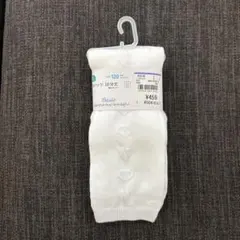 Item thumbnail for item 6b69798c-8f99-4081-8f7f-54381b8d74ae