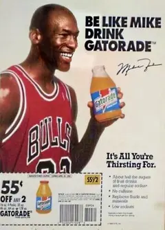 【中古品】ナイキ　SB　ダンクB　プロ　29cm