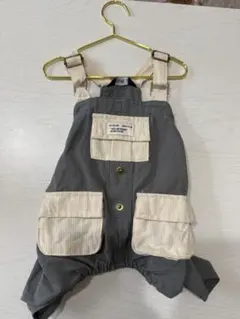 Item thumbnail for item 52d3ebb9-9199-433c-9a86-3f53bcdfd392