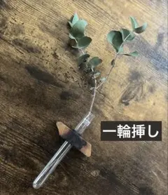木工作家 一輪挿し 壁掛け マグネット付き 試験管 ガラス管