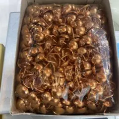 Item thumbnail for item 17f80f89-6bf4-4c4c-8f5e-841ccf1b240a